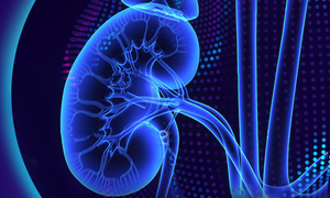 Doctor.One laureatem pierwszego konkursu w ramach Warsaw Health Innovation Hub – #Nephroher