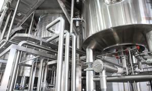 Globalne firmy rozbudowują infrastrukturę do produkcji białek alternatywnych