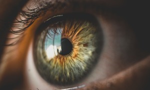 EMA zatwierdziła lek biologiczny w terapii chorób oka opracowany z udziałem Polpharma Biolo