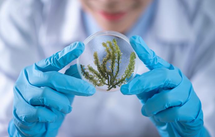 Badanie form specjacyjnych pierwiastków chemicznych w analizie próbek pochodzenia naturalne