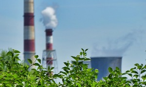Jak powstaje i z czego składa się smog?