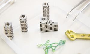 Politechnika Śląska opracowała technologię powłok na implantach, wdrożoną już w weterynarii