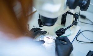Polski bioreaktor zmienia świat biotechnologii