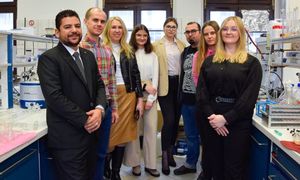 Wrocławscy naukowcy zgłębiają nieodkryty potencjał grzybów endofitycznych