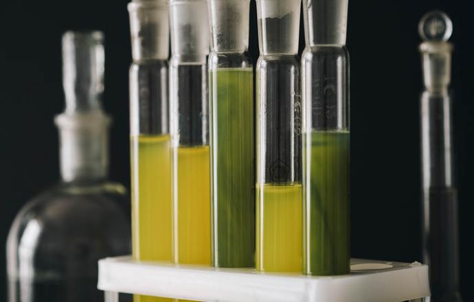Wykorzystanie płynów w stanie nadkrytycznym do ekstrakcji składników bioaktywnych z roślin