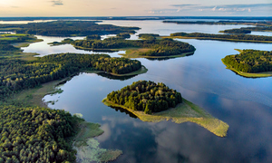 Czy obecność w atmosferze naturalnych substancji środowiskowych może wpływać na patogenność