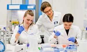 Pure Biologics nominuje kandydata wiodącego w projekcie PB003G