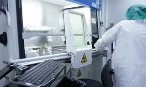 Zastosowanie neutronowej analizy aktywacyjnej do badania składu pierwiastkowego