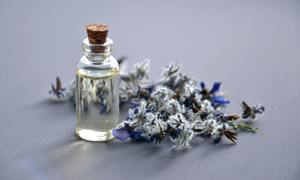 Na co zwrócić uwagę przy wyborze perfum na lato?