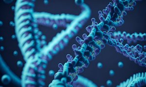 Opracowana z udziałem Polaków metoda syntezy nukleotydów ułatwia badania nad związkami o po