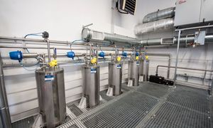 Uniwersytet Łódzki potwierdza unikalne właściwości drożdży Yarrowia lipolytica