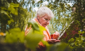 Prawidłowa dieta wpływa na odporność, zwłaszcza seniora. Jak o nią zadbać?