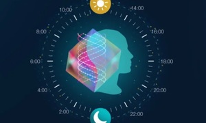 Jak budować odporność organizmu w zgodzie z własnym biorytmem?