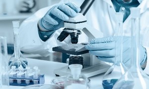 Pharmena rozpoczyna prace nad innowacyjnym wyrobem medycznym wspomagającym leczenie trudno 