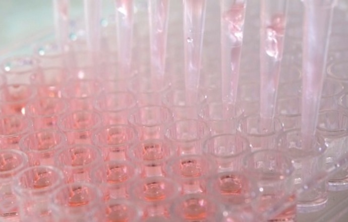Końcówki do pipet BioClean Ultra – niezawodna diagnostyka COVID-19 i innych wirusów chorobo