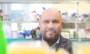 Na UW dokonano przełomu w badaniach mRNA!