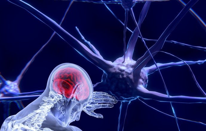 Polska spółka opracowała prototyp testu diagnostycznego wykrywającego guza mózgu