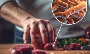 Postępy w metodach spektroskopowych w wykrywaniu patogenów występujących w żywności