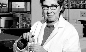 Badaczki znane i nieznane. Brigitte Askonas – matka współczesnej immunologii