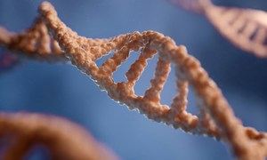 Nowe sekwencjonowanie DNA wykrywa wczesne zmiany genetyczne i może pomóc w leczeniu raka