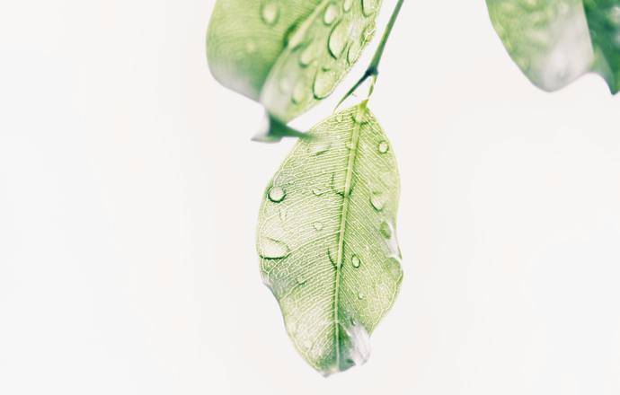 Innowacyjne rozwiązania w kosmetykach „eco-friendly” – jak będą wyglądały kosmetyki przyszł