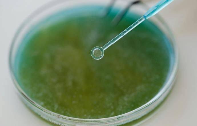 Biomateriały nowej generacji. Naukowcy stworzyli żel, który regeneruje się jak skóra