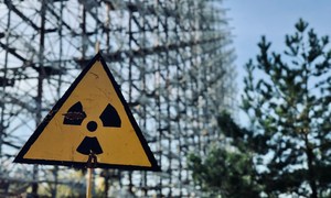 Ekstremofilne grzyby czarnobylskie jako biologiczny model adaptacji do radiacji