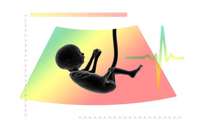 Tam, gdzie zaczyna się ciąża – do czego służy nowy model implantacji?