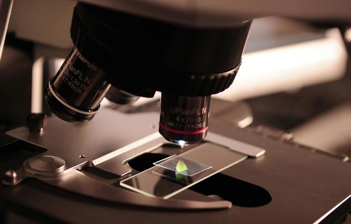 Popularny znacznik biologiczny może wprowadzać w błąd