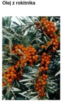 SEA BUCKTHORN OIL A.S. - ROKITNIK (olej)