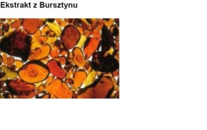 AMBER EXTRACT MS - BURSZTYN (ekstrakt wodno-glikolowy)