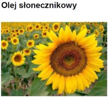 SUNFLOWER SEED OIL - SŁONECZNIK (olej zimnotłoczony)