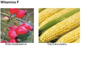 VITAMIN F - OLEJ RÓZANY, OLEJ KUKURYDZIANY (mieszanina kwasów tłuszczowych)