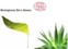 ALOE VERA GEL ECO - ALOES ZWYCZAJNY (żel ekologiczny)