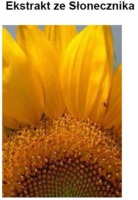 SUNFLOWER EXTRACT H.GL. - M.S. - SŁONECZNIK (ekstrakt glicerynowo-wodny)