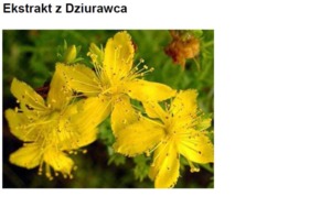 ST. JOHNS WORT EXTRACT H.GL-MS - DZIURAWIEC (ekstrakt glicerynowo-wodny)