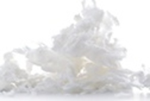 Epidermist