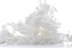 Epidermist