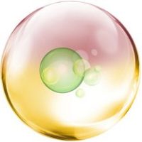 Activoil™ Echnidium ZRO