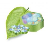 Plant C Stem™ Vigna Radiata