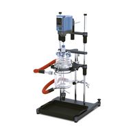 EasySyn 2000 Advanced Reactor system