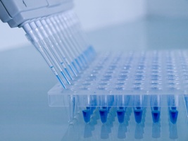 APTAMER DNA ROZPOZNAJĄCY METKĘ LIZYLOWĄ