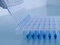 APTAMER DNA ROZPOZNAJĄCY METKĘ LIZYLOWĄ