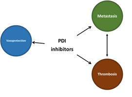 Inhibitory PDI o działaniu przeciw zakrzepowym, przeciw przerzutowym oraz wazoprotekcyjnym 